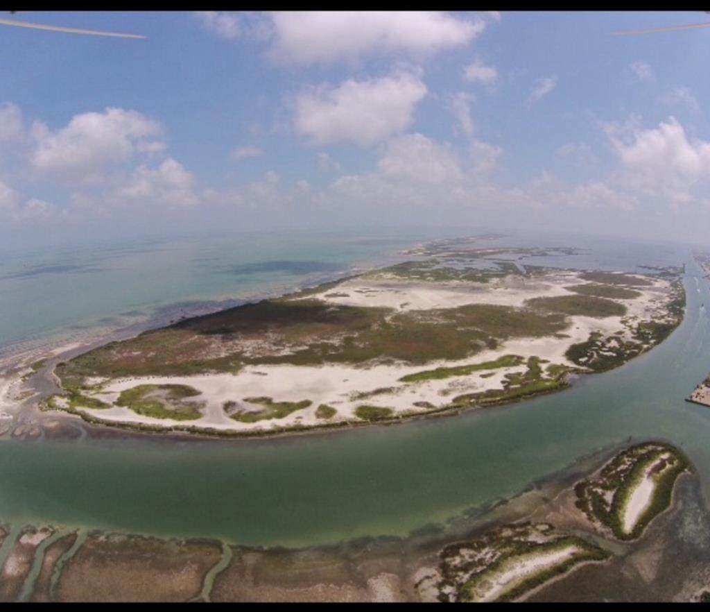 0 Traylor Island - Photo 1