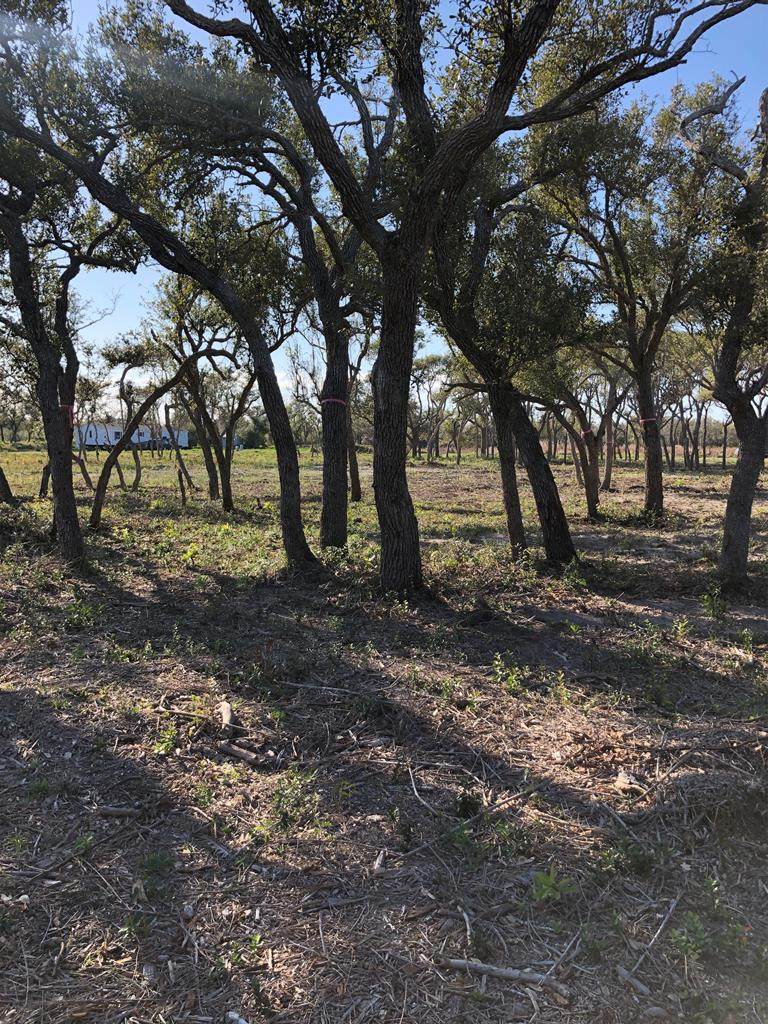 1727 Fort Worth - Photo 1
