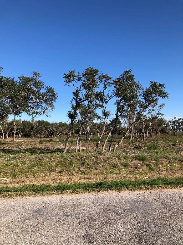 1712 San Antonio - Photo 1