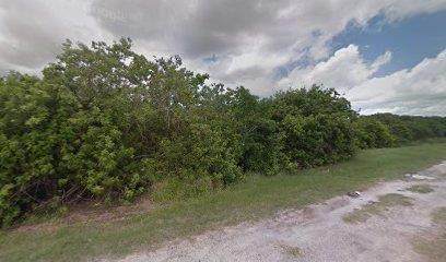 2323 Lady Claire St. - Photo 1