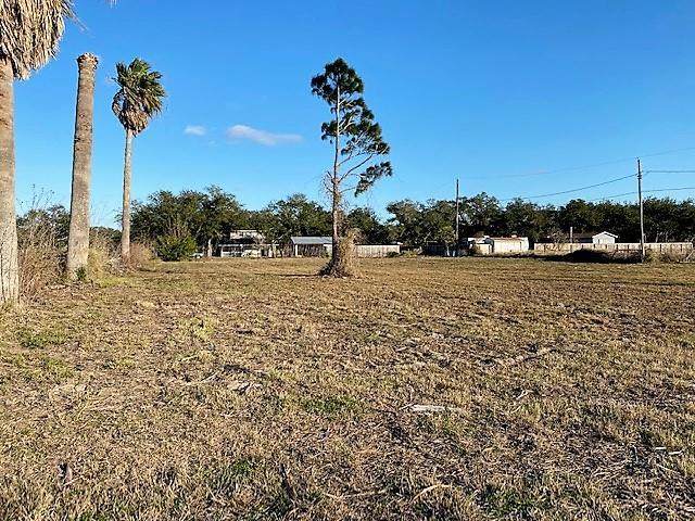 312 Catalina - Photo 1