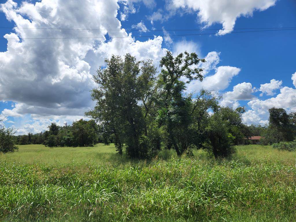 14363 State Hwy 188 - Photo 1
