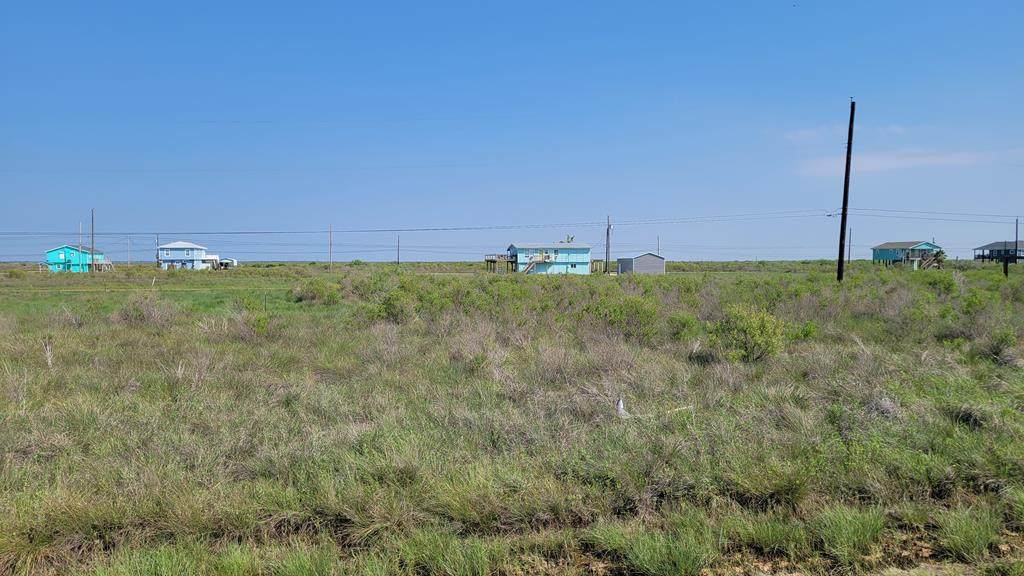 295 Live Oak - Photo 1