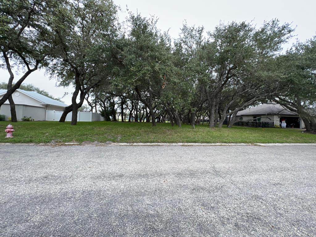 114 Peachtree Dr - Photo 1