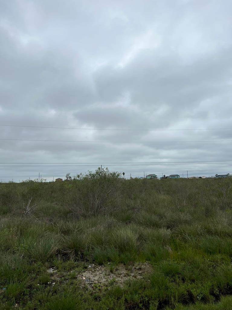 366-367 Live Oak - Photo 1