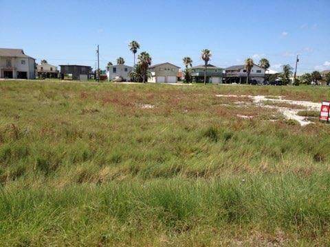 250 Kingfish - Photo 1