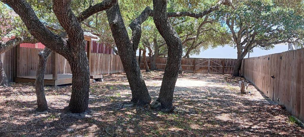 1101 Palmetto - Photo 1