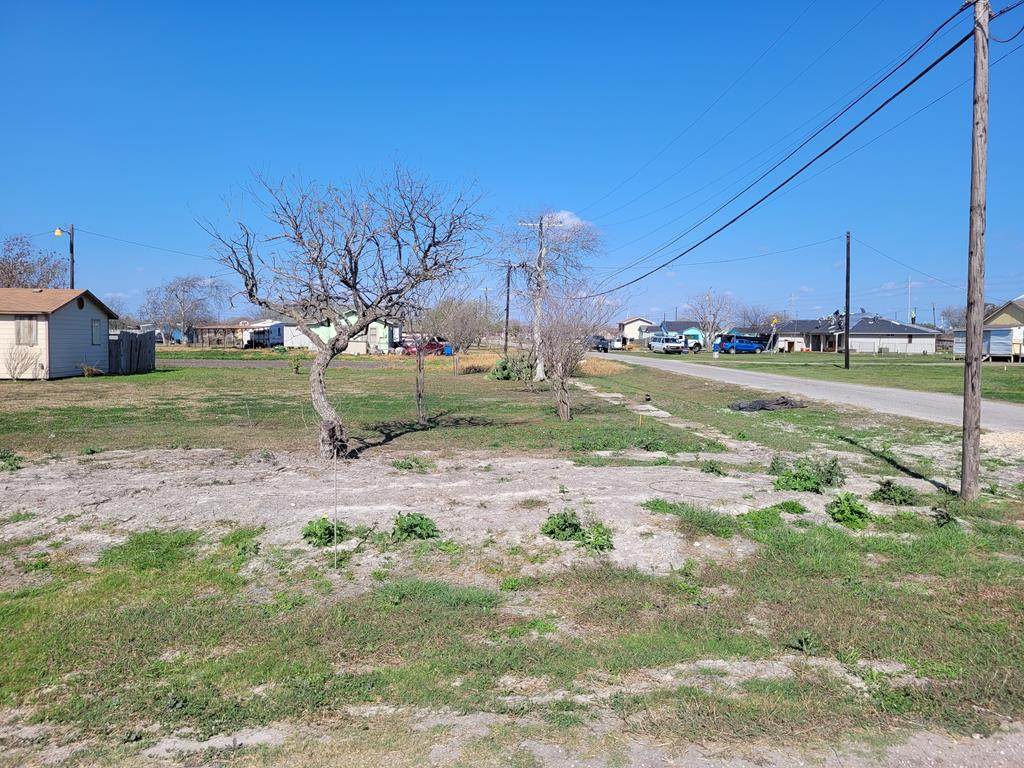 205 Polk - Photo 1
