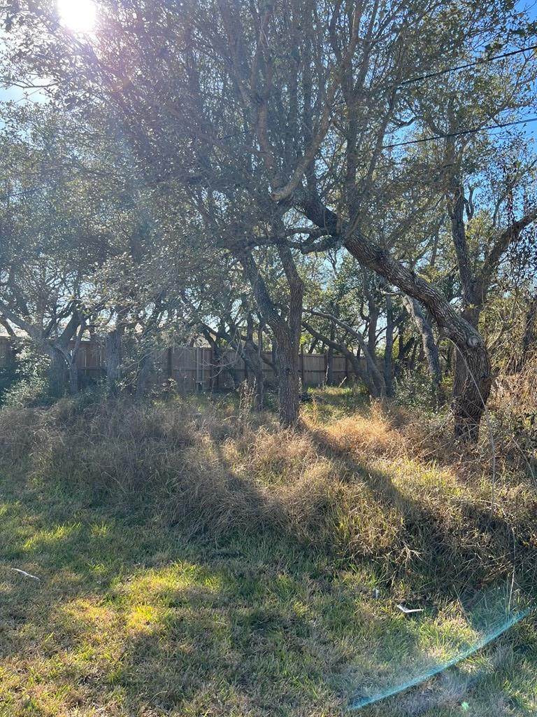 209 Traylor Ave - Photo 1