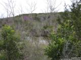 17032 Scenic Loop Road - Photo 1
