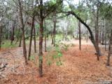 LOT 69 Tracie Trail - Photo 7
