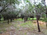 LOT 69 Tracie Trail - Photo 8