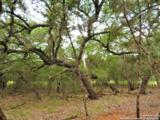 LOT 69 Tracie Trail - Photo 9