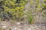 024 Leona Ranch - Photo 11