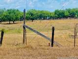 13220 E Loop 1604 S - Photo 7
