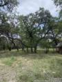 24601 State Highway 46 W - Photo 8