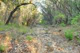10700 Fm 306 - Photo 12