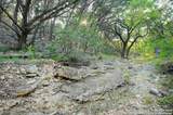 10700 Fm 306 - Photo 13