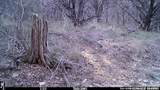 10700 Fm 306 - Photo 25
