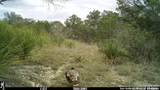10700 Fm 306 - Photo 27