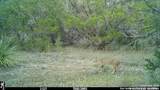 10700 Fm 306 - Photo 29