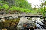 10700 Fm 306 - Photo 3