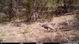 10700 Fm 306 - Photo 31