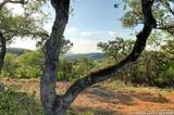 10700 Fm 306 - Photo 4