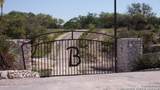 LOT 12/13 Byrd Ranch Road - Photo 1