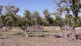LOT 12/13 Byrd Ranch Road - Photo 13