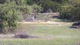 LOT 12/13 Byrd Ranch Road - Photo 15