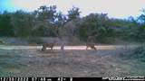 LOT 12/13 Byrd Ranch Road - Photo 23