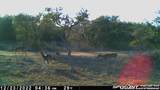 LOT 12/13 Byrd Ranch Road - Photo 24