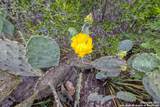 00 Brushy Creek Ranch Rd - Photo 17