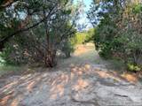 1533 Desiree St - Photo 5