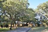 23770 Blanco Rd - Photo 4