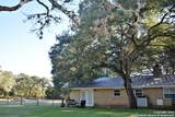 23770 Blanco Rd - Photo 7