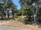 619 Cactus Flower - Photo 10