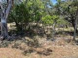 619 Cactus Flower - Photo 11