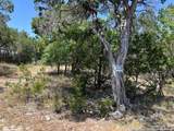 619 Cactus Flower - Photo 12