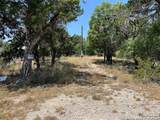 619 Cactus Flower - Photo 14