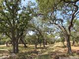 746 Maximino Ridge Rd - Photo 4