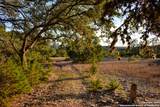 2750 Fm 484 - Photo 6