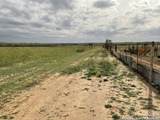 128 Sylas Hayes Loop - Photo 5