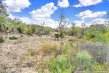 2049 County Road 451 - Photo 16