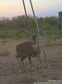 1 Fm 1025 - Photo 44