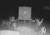 1 Fm 1025 - Photo 46
