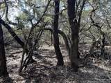 27005 Trill Hill - Photo 14
