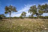 LOT 40 Sotol Ln - Photo 4