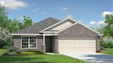 15534 Vanilla Seed Vine - Photo 1